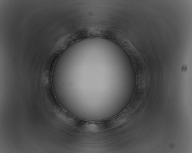 X0000096630706200802121047