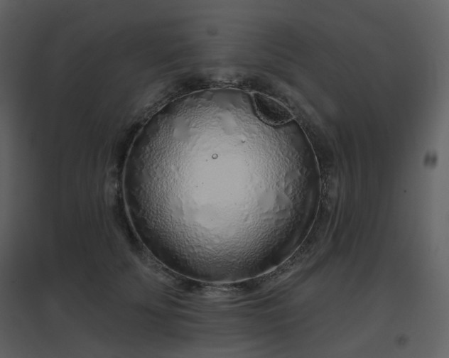 X0000096630707200802121047