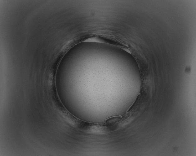 X0000096630708200802121047