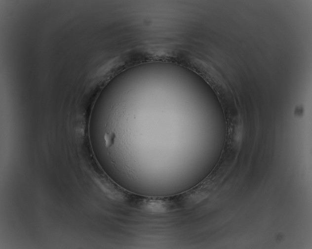 X0000096630710200802121047