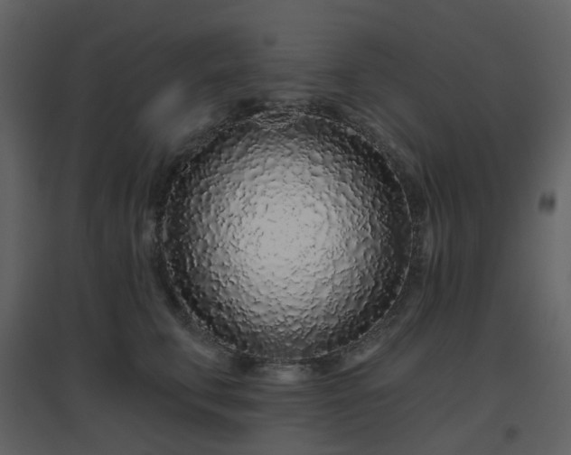 X0000096630711200802121047