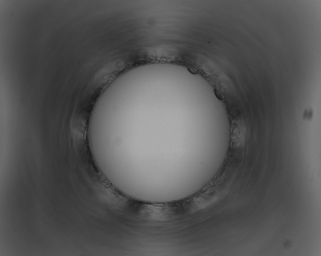 X0000096630713200802121047