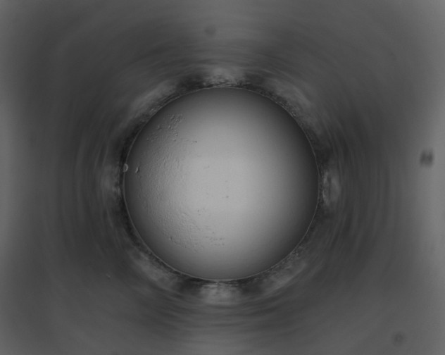 X0000096630714200802121047