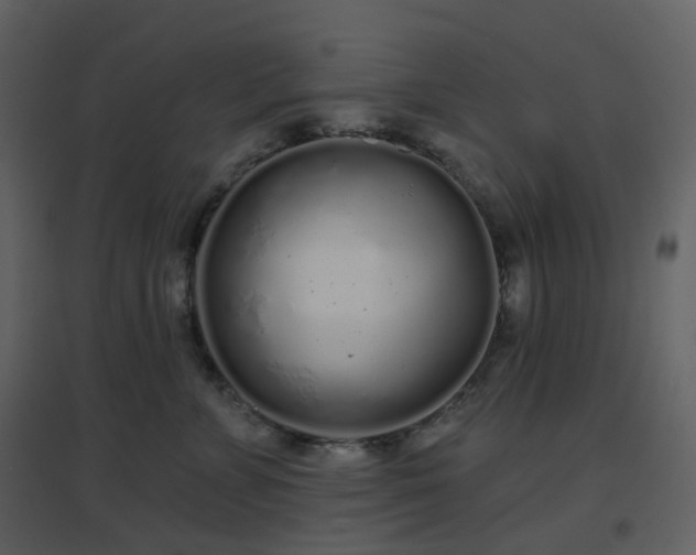 X0000096630715200802121047