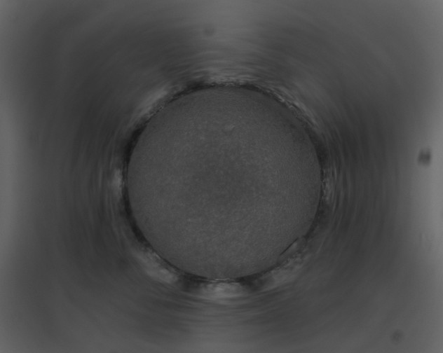 X0000096630716200802121047