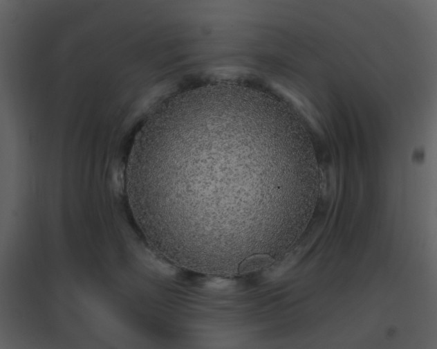 X0000096630718200802121047