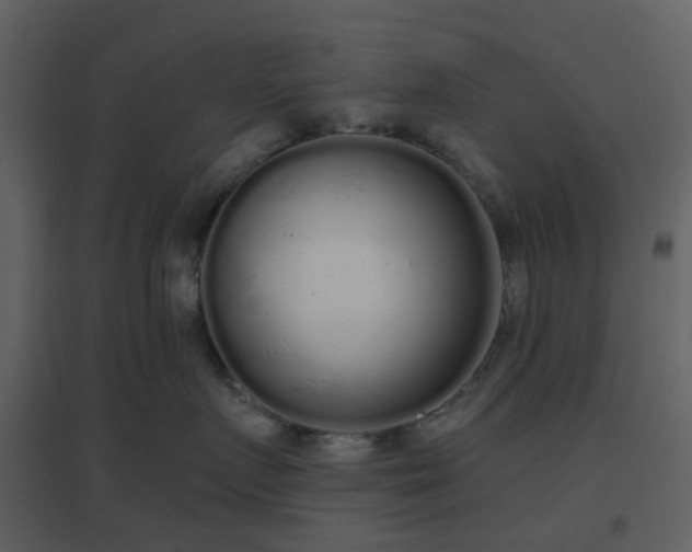 X0000096630719200802121047