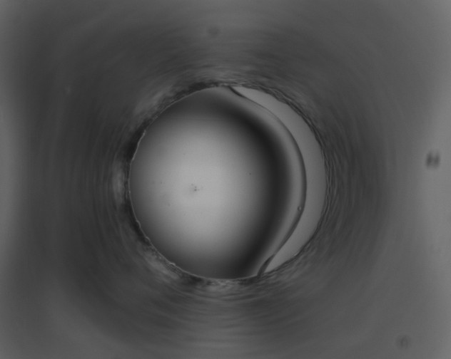 X0000096630720200802121047