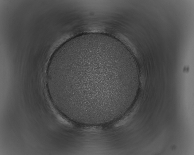 X0000096630721200802121046