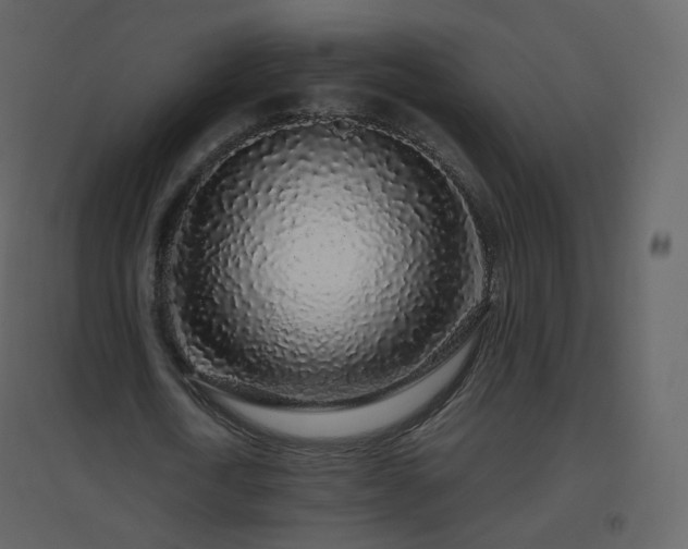 X0000096630722200802121047