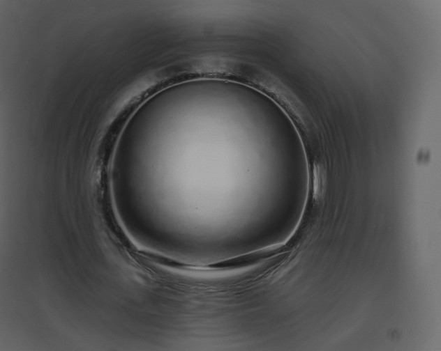 X0000096630723200802121047