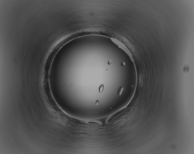 X0000096630724200802121047