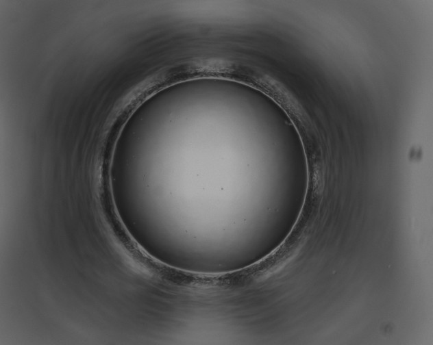 X0000096630725200802121047