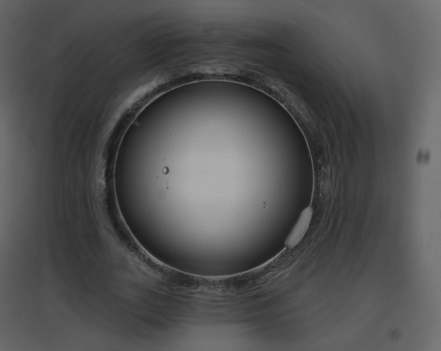 X0000096630727200802121047