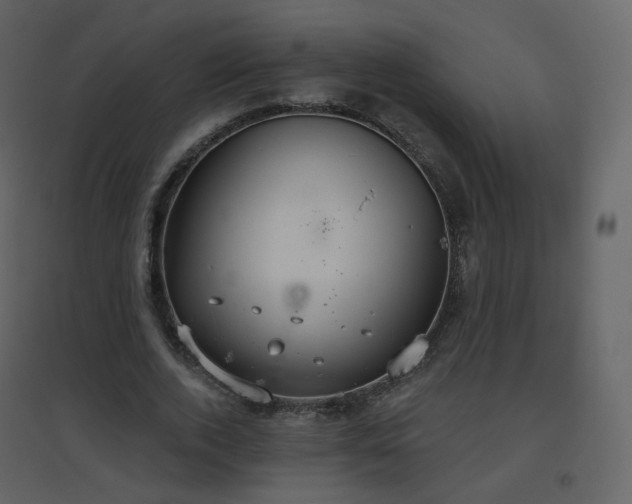 X0000096630728200802121047
