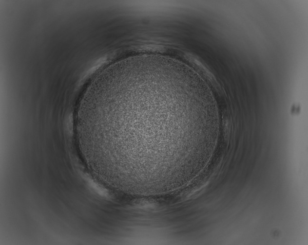 X0000096630729200802121047