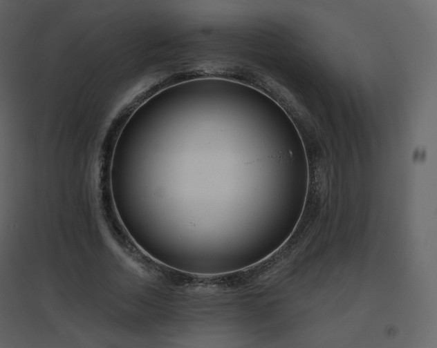 X0000096630730200802121047