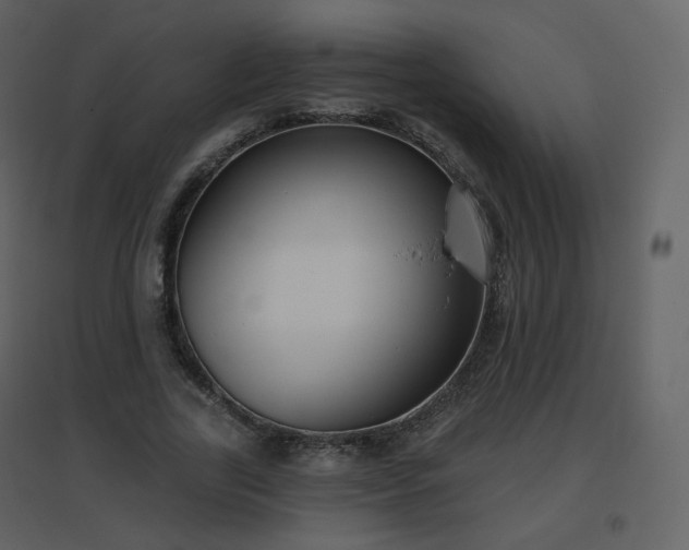 X0000096630731200802121047