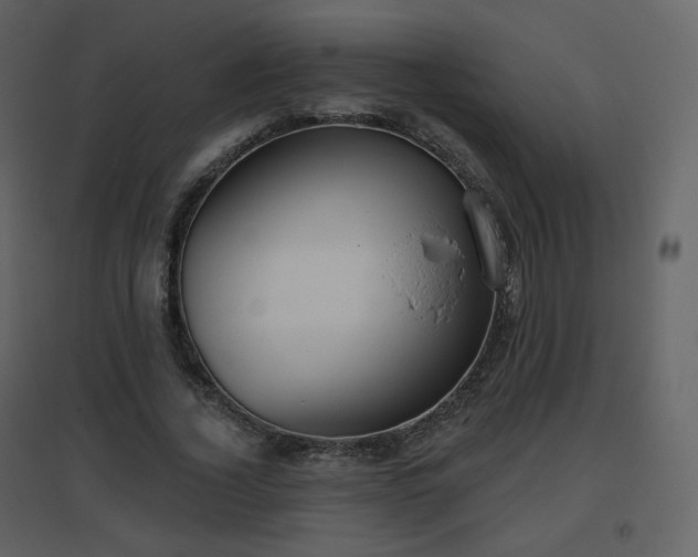 X0000096630732200802121047