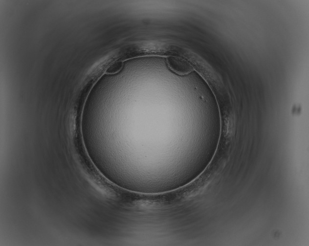 X0000096630733200802121047