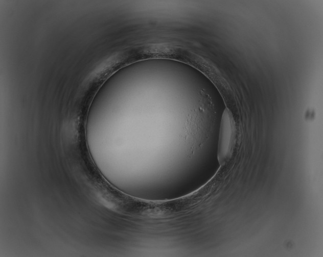 X0000096630735200802121047