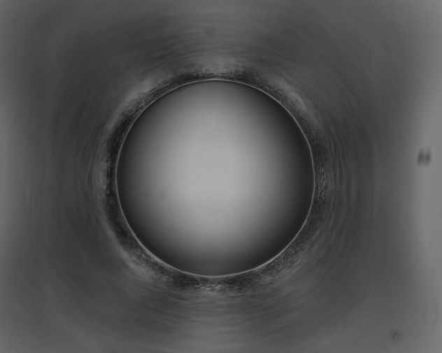 X0000096630736200802121047