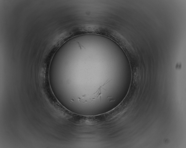 X0000096630739200802121047