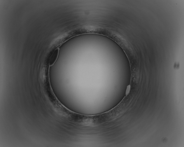X0000096630740200802121047