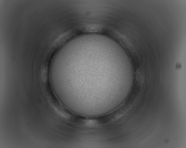X0000096630741200802121047