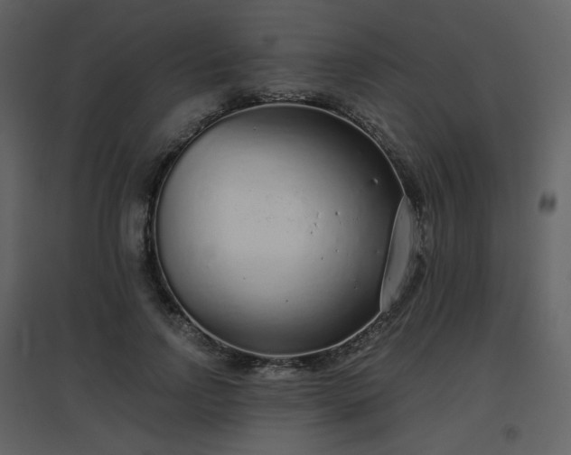 X0000096630742200802121047