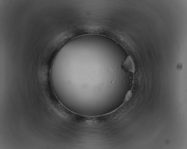 X0000096630744200802121047