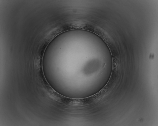 X0000096630745200802121047