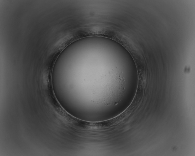 X0000096630746200802121047
