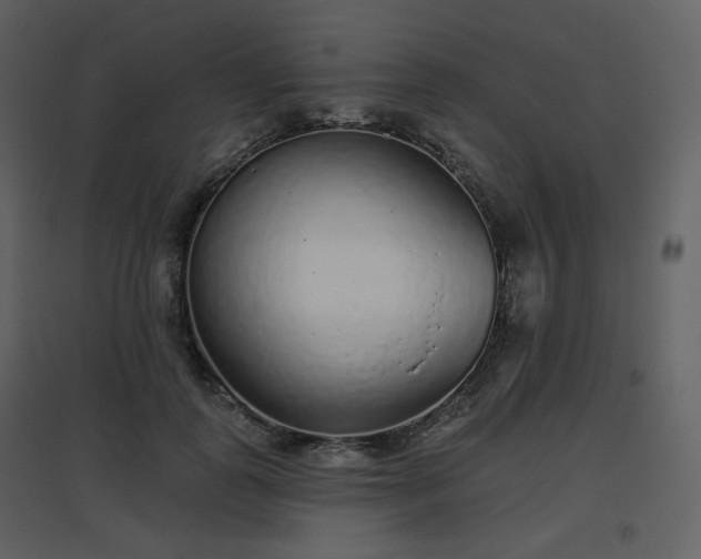 X0000096630747200802121047