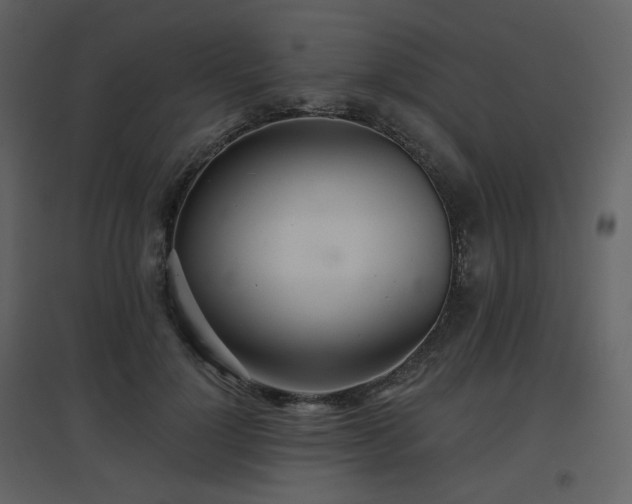 X0000096630748200802121047