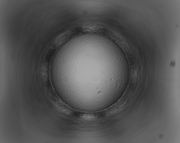 X0000096630749200802121047