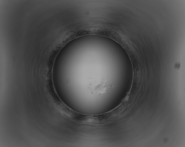 X0000096630750200802121047