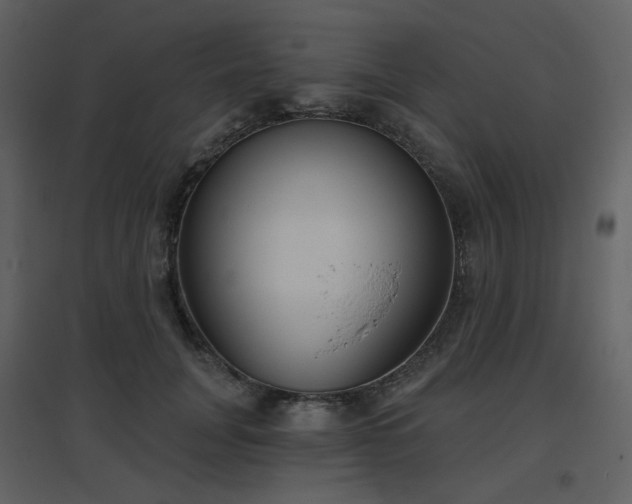 X0000096630751200802121047