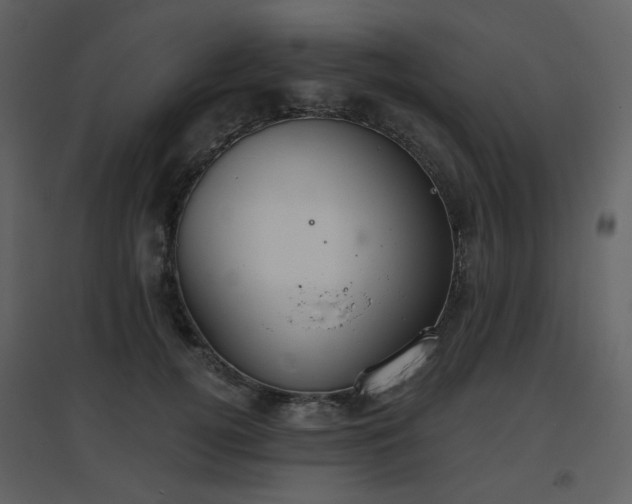 X0000096630752200802121047