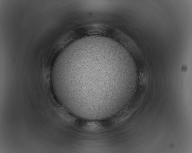 X0000096630753200802121047