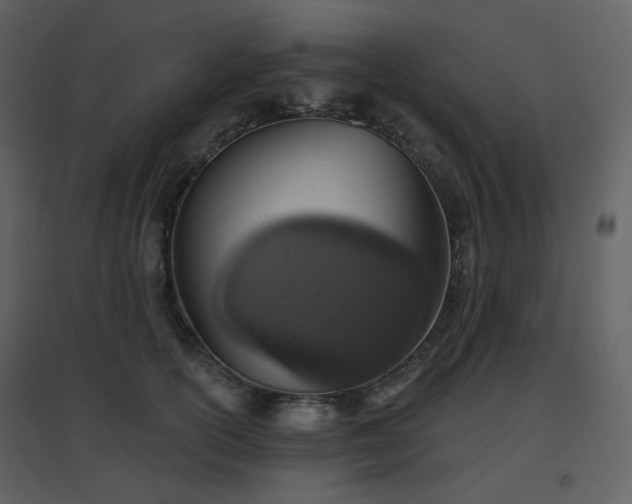 X0000096630754200802121047