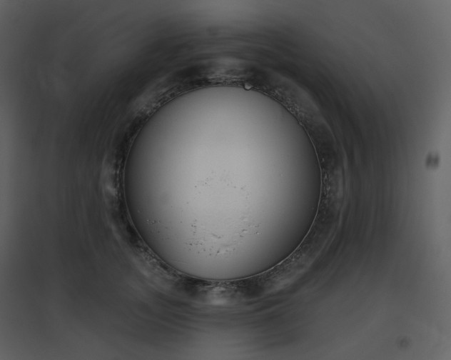 X0000096630755200802121047