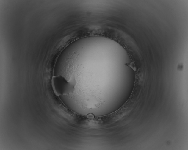 X0000096630756200802121047