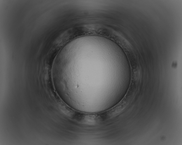 X0000096630757200802121047