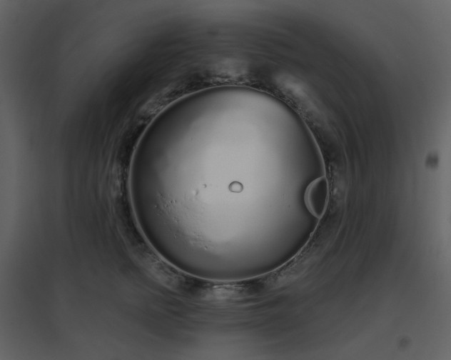 X0000096630758200802121047
