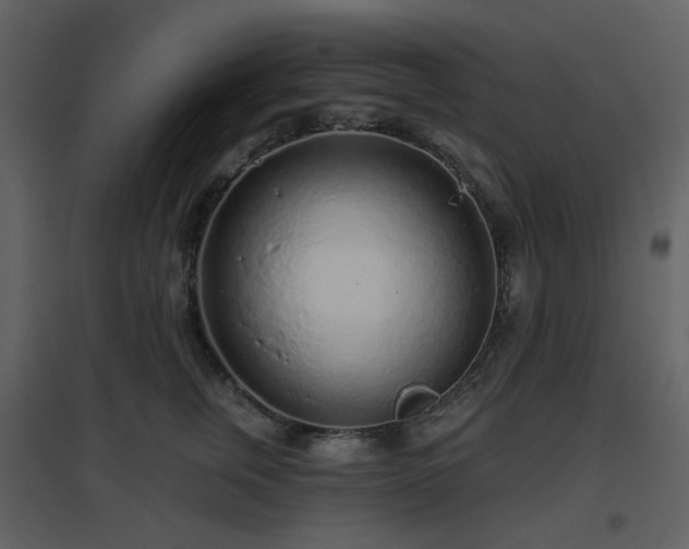 X0000096630759200802121047