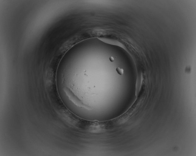 X0000096630760200802121047