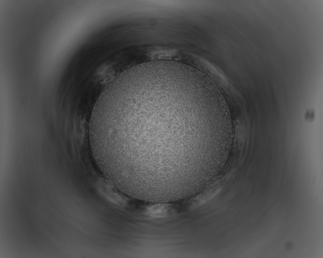 X0000096630761200802121047
