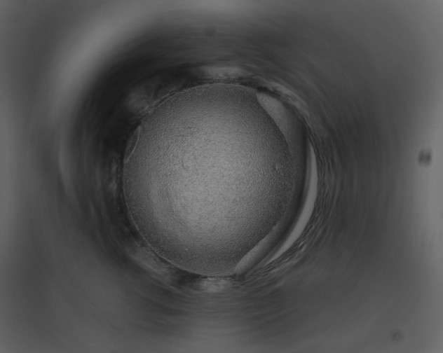 X0000096630762200802121047