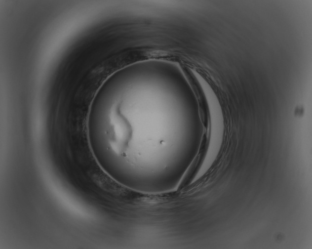 X0000096630763200802121047
